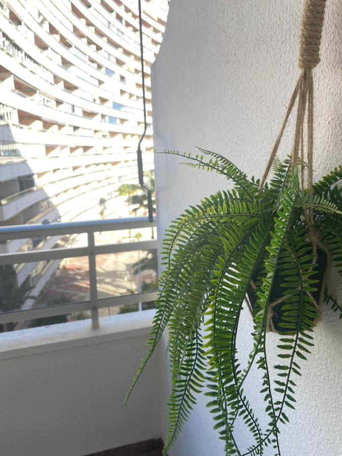 Vive El Mediterraneo - Apartamento Con Piscina En Cullera Extérieur photo